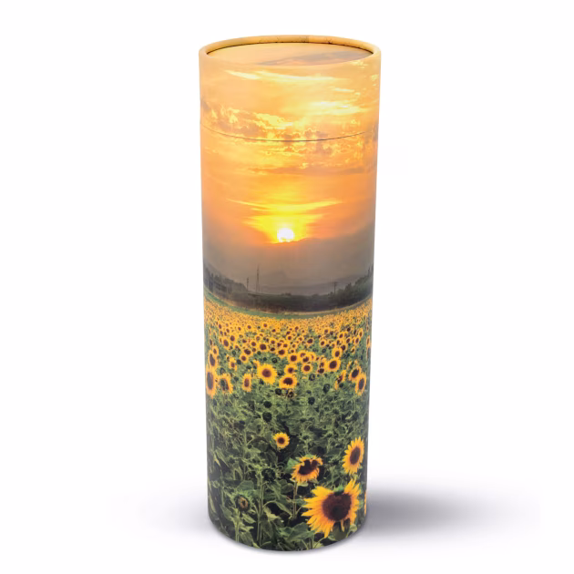 Scatter Tubes and Pods